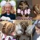 Ide gaya rambut indah untuk tanggal 1 September untuk anak perempuan