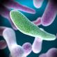 Cystitis and E. coli