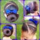 Hairstyle for a first-grader on September 1