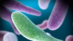 Cystitis and E. coli