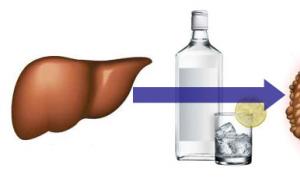 What is alcoholic cirrhosis of the liver, and how quickly can it kill