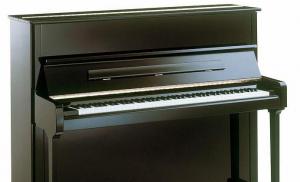 Klavír je strunový klávesový hudobný nástroj Pozrite sa, čo to je