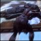 Návod na všetky úlohy v The Elder Scrolls V: Dawnguard a prehľad doplnku Použite kúzlo zvádzania upírov na kňaza motýľa