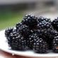 Blackberry medicinal properties and contraindications
