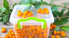 Sea buckthorn and apple compote Is sea buckthorn compote healthy?