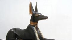 Anubis beast.  Character history.  Deities associated with Anubis