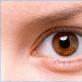 Kahverengi gözler için makyaj - günden akşama, fotoğraf örnekleriyle adım adım